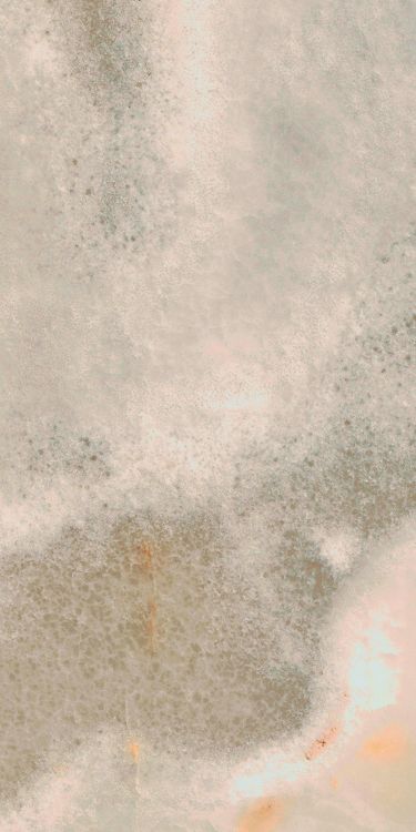 Reves Noisette Matte 12 x 24